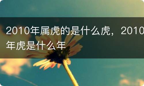 2010年属虎的是什么虎，2010年虎是什么年