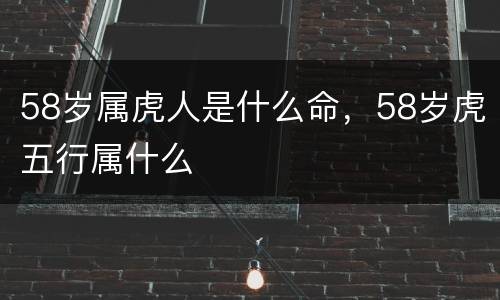 58岁属虎人是什么命，58岁虎五行属什么