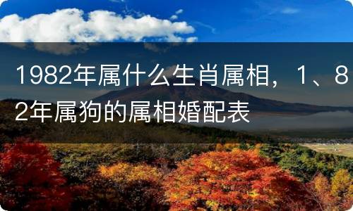 1982年属什么生肖属相，1、82年属狗的属相婚配表