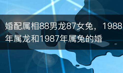 婚配属相88男龙87女兔，1988年属龙和1987年属兔的婚