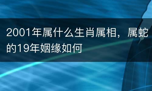 2001年属什么生肖属相，属蛇的19年姻缘如何