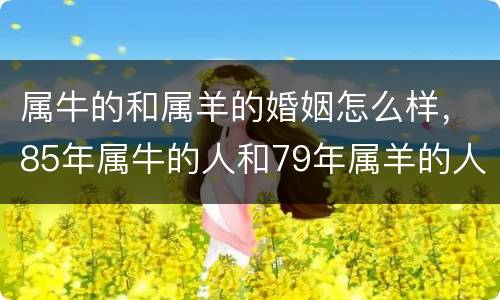 属牛的和属羊的婚姻怎么样，85年属牛的人和79年属羊的人婚姻配吗