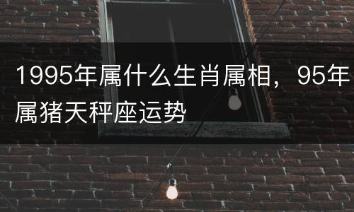 1995年属什么生肖属相，95年属猪天秤座运势