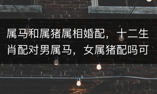属马和属猪属相婚配，十二生肖配对男属马，女属猪配吗可以结婚吗