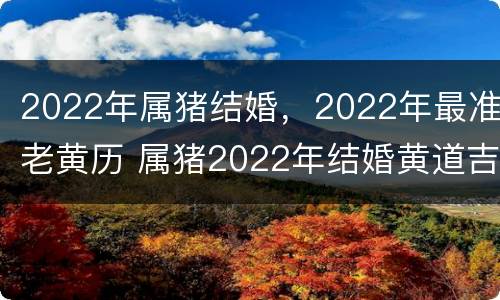2022年属猪结婚，2022年最准老黄历 属猪2022年结婚黄道吉日