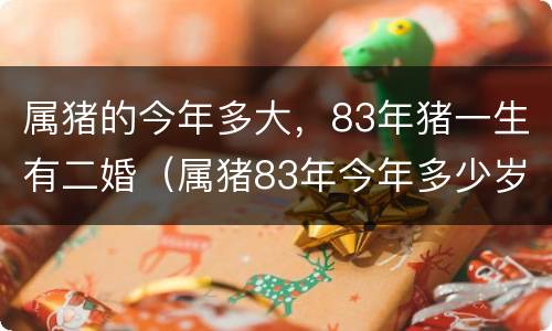 属猪的今年多大，83年猪一生有二婚（属猪83年今年多少岁）