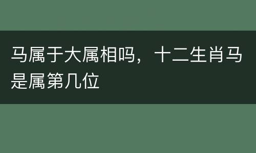 马属于大属相吗，十二生肖马是属第几位