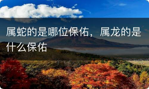 属蛇的是哪位保佑，属龙的是什么保佑