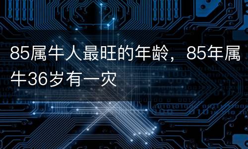 85属牛人最旺的年龄，85年属牛36岁有一灾