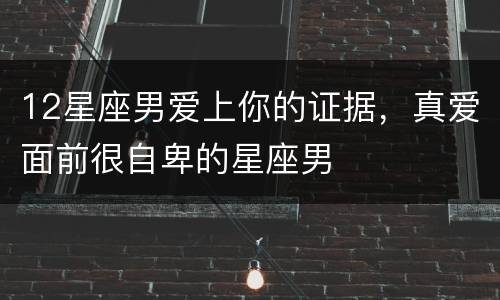 12星座男爱上你的证据，真爱面前很自卑的星座男