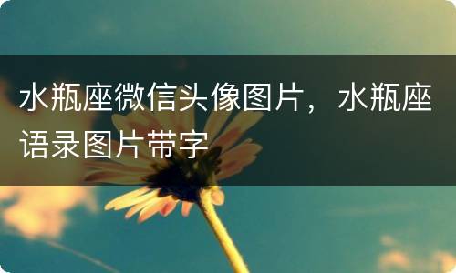 水瓶座微信头像图片，水瓶座语录图片带字
