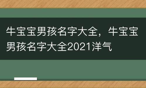 牛宝宝男孩名字大全，牛宝宝男孩名字大全2021洋气
