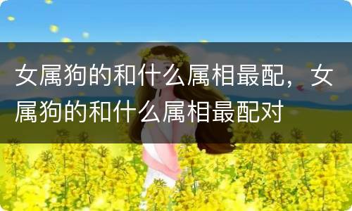 女属狗的和什么属相最配，女属狗的和什么属相最配对