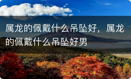属龙的佩戴什么吊坠好，属龙的佩戴什么吊坠好男
