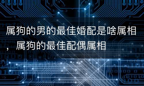 属狗的男的最佳婚配是啥属相，属狗的最佳配偶属相