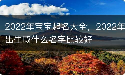 2022年宝宝起名大全，2022年出生取什么名字比较好