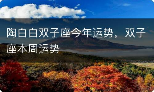 陶白白双子座今年运势，双子座本周运势