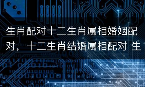 生肖配对十二生肖属相婚姻配对，十二生肖结婚属相配对 生肖婚姻