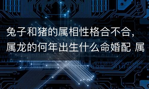 兔子和猪的属相性格合不合，属龙的何年出生什么命婚配 属龙婚配