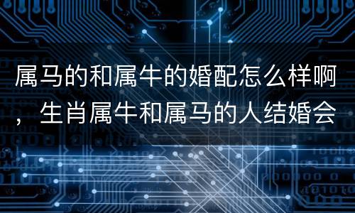 属马的和属牛的婚配怎么样啊，生肖属牛和属马的人结婚会怎样