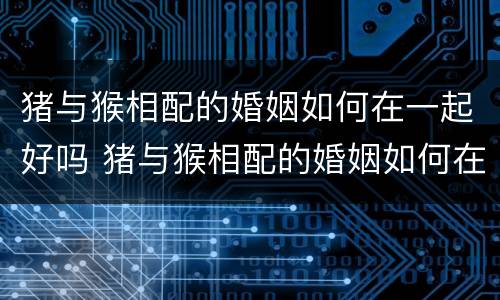 猪与猴相配的婚姻如何在一起好吗 猪与猴相配的婚姻如何在一起好吗女