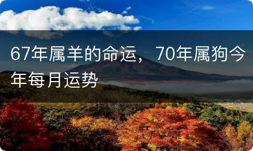 67年属羊的命运，70年属狗今年每月运势