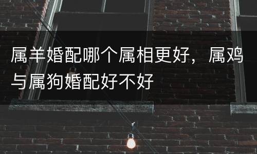 属羊婚配哪个属相更好，属鸡与属狗婚配好不好