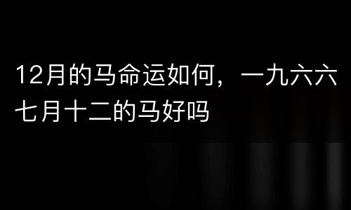 12月的马命运如何，一九六六七月十二的马好吗