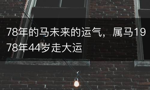 78年的马未来的运气，属马1978年44岁走大运