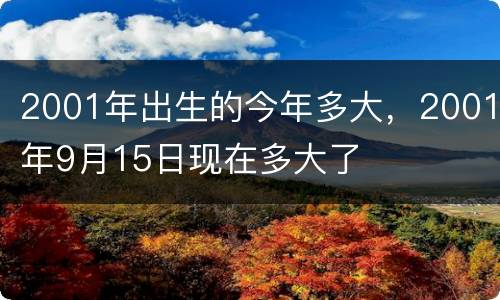 2001年出生的今年多大，2001年9月15日现在多大了