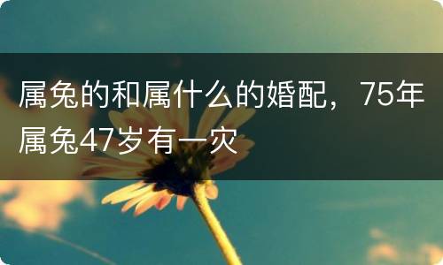 属兔的和属什么的婚配，75年属兔47岁有一灾