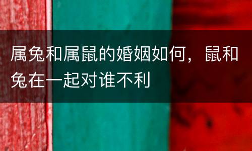 属兔和属鼠的婚姻如何，鼠和兔在一起对谁不利