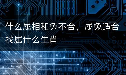 什么属相和兔不合，属兔适合找属什么生肖