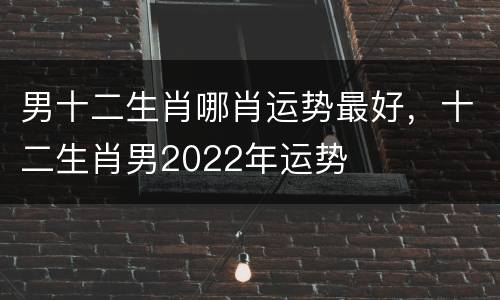 男十二生肖哪肖运势最好，十二生肖男2022年运势