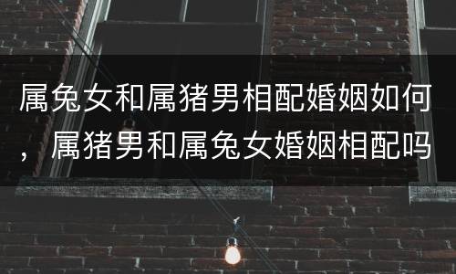 属兔女和属猪男相配婚姻如何，属猪男和属兔女婚姻相配吗