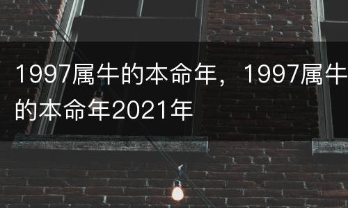 1997属牛的本命年，1997属牛的本命年2021年