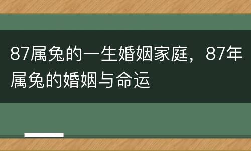 87属兔的一生婚姻家庭，87年属兔的婚姻与命运