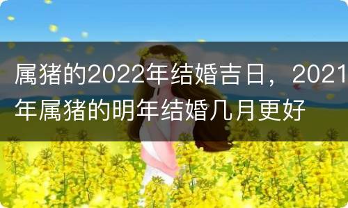 属猪的2022年结婚吉日，2021年属猪的明年结婚几月更好