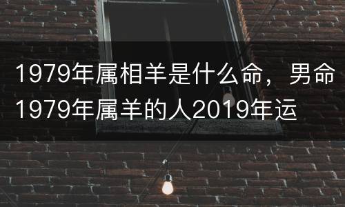 1979年属相羊是什么命，男命1979年属羊的人2019年运