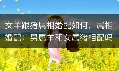 女羊跟猪属相婚配如何，属相婚配：男属羊和女属猪相配吗？