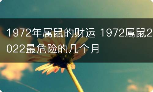1972年属鼠的财运 1972属鼠2022最危险的几个月