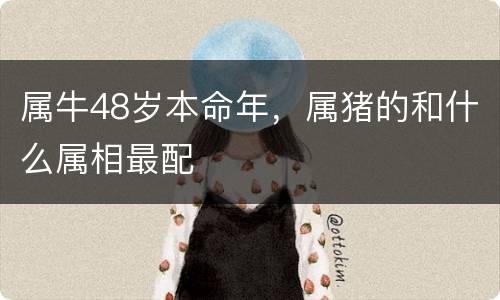 属牛48岁本命年，属猪的和什么属相最配