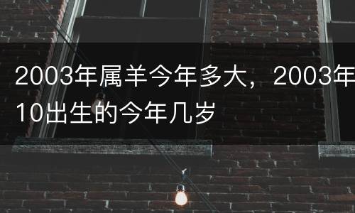 2003年属羊今年多大，2003年10出生的今年几岁