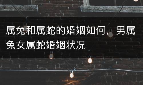 属兔和属蛇的婚姻如何，男属兔女属蛇婚姻状况