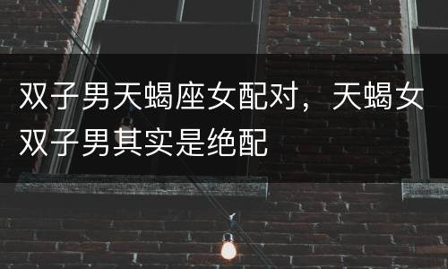 双子男天蝎座女配对，天蝎女双子男其实是绝配
