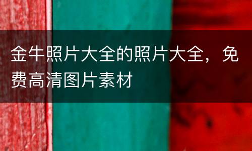 金牛照片大全的照片大全，免费高清图片素材