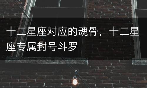 十二星座对应的魂骨，十二星座专属封号斗罗