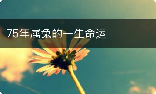 75年属兔的一生命运