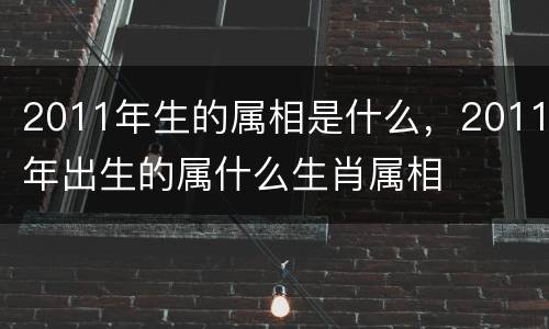2011年生的属相是什么，2011年出生的属什么生肖属相