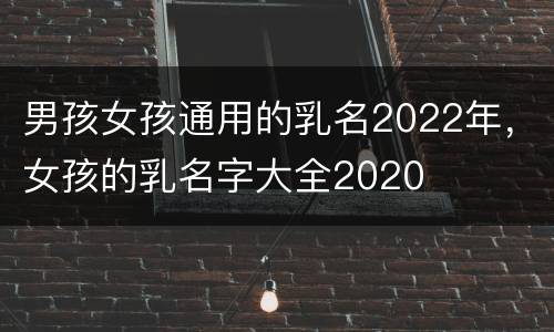 男孩女孩通用的乳名2022年，女孩的乳名字大全2020